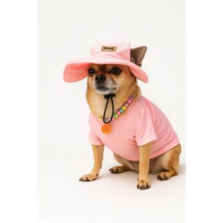 Chapéu Pet Maddog – Proteção UV e Tecido Premium em Oferta na Shopee