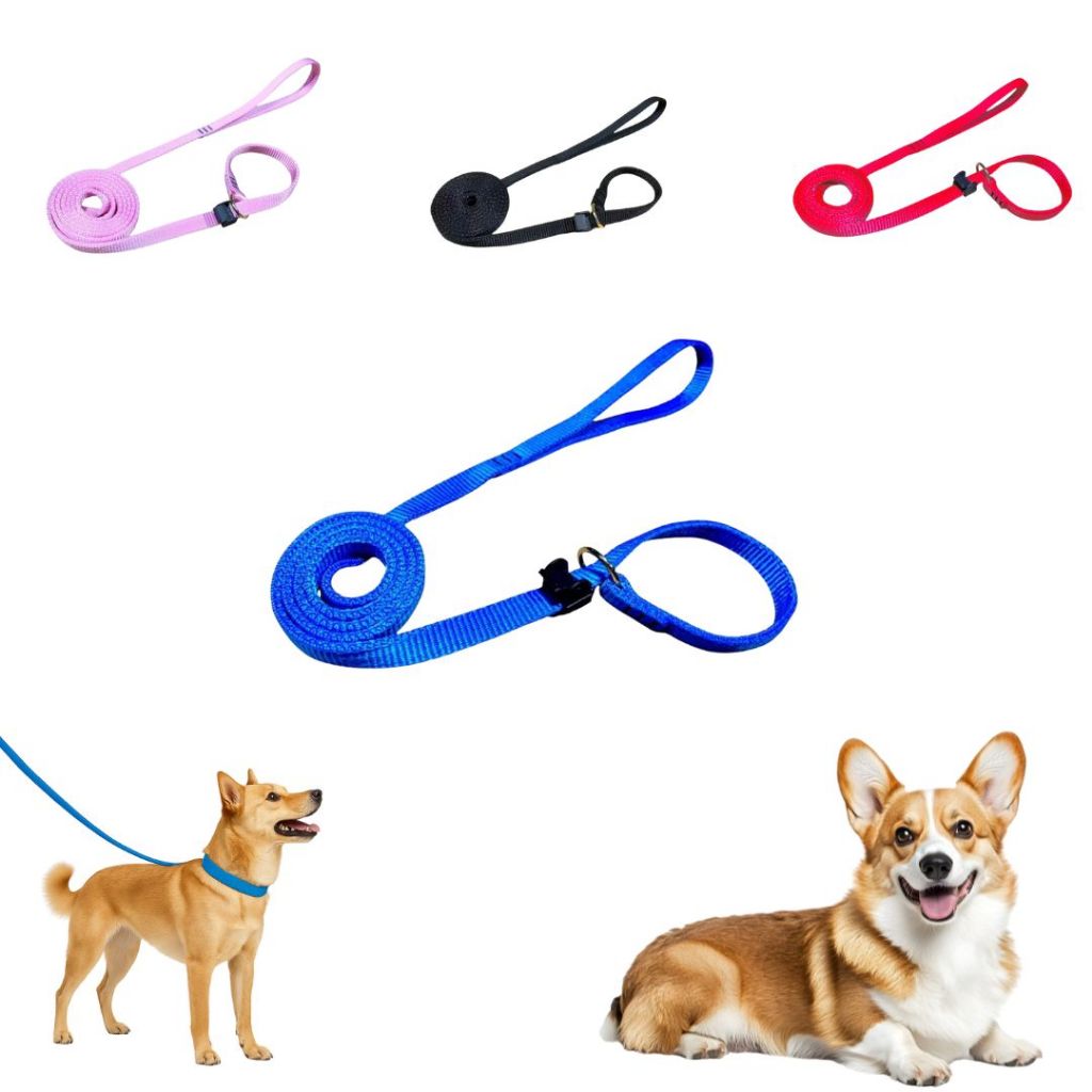 Coleira para Cachorro e Gato – Confortavel, Segura, Estilosa e Resistente