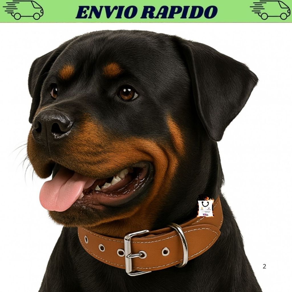 Coleira Para Cachorro Pitbull Rotweiller Cães de Medio e Grande Porte Coleira de Couro Resistente em Oferta na Shopee