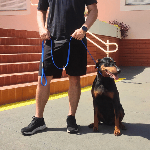 Guia Adestramento Cachorro Speed Profissional Unificada Confortável Durável Passeio Treino Zarablue