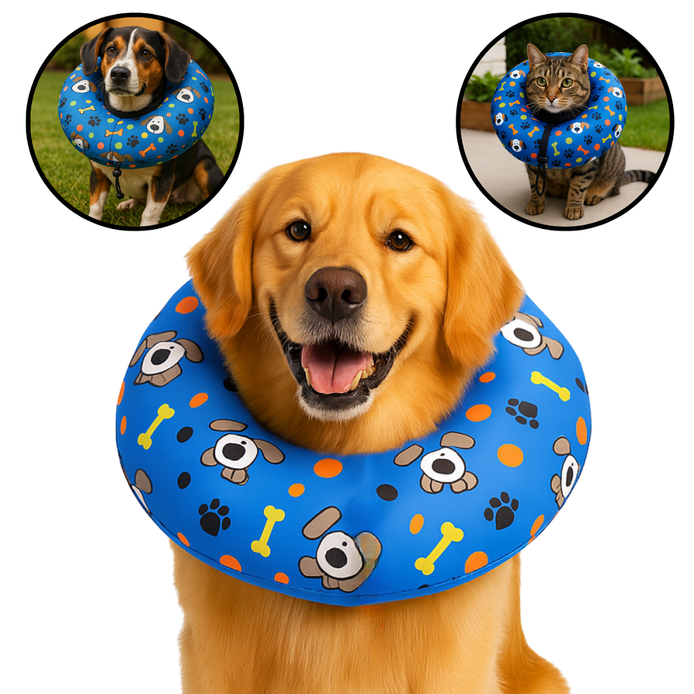 Cone para Cachorro - Comprar com Melhor Preço em Acessórios para Animais de Estimação