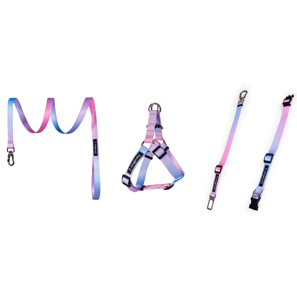 Peitoral Coleira Guia e Cinto Segurança Cachorro Ajustável Completo Resistente Confortável Zarablue em Oferta na Shopee