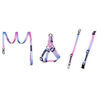 Peitoral Coleira Guia e Cinto Segurança Cachorro Ajustável Completo Resistente Confortável Zarablue em Oferta na Shopee