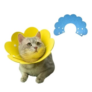 Coleira   AZUL Protetora Feridas  Animais De Estimação , Gatos , Após Cirurgia , Algodão , Macio , Ajustável , Elizabeth em Oferta na Shopee