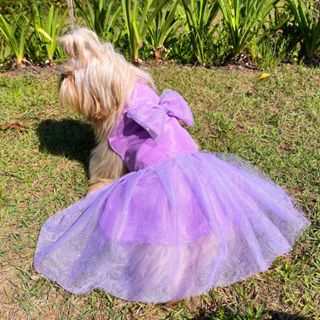 Vestido Para Cachorro Femea Encantado Gaby Pet Roupa com Tule e Glitter Brilhante Pequenos e Médios Roupa de Festa em Oferta na Shopee