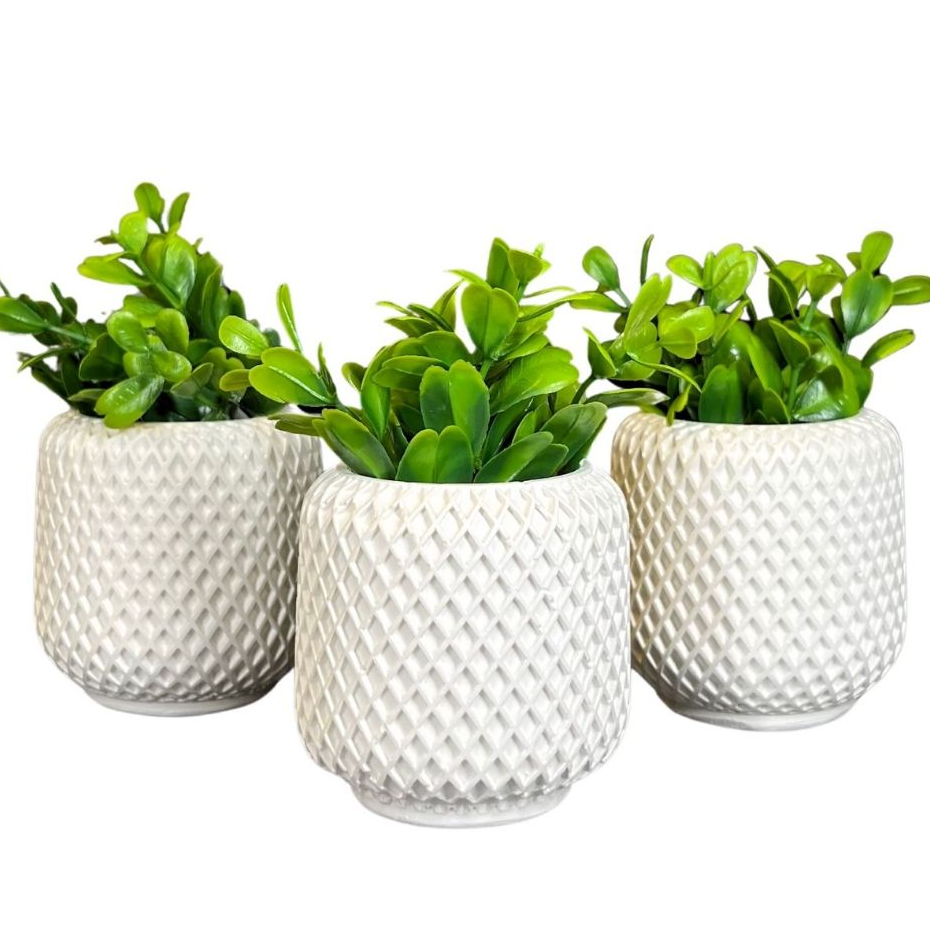 Planta 3d: Guia Completo e Onde Comprar | BuscaProdutos