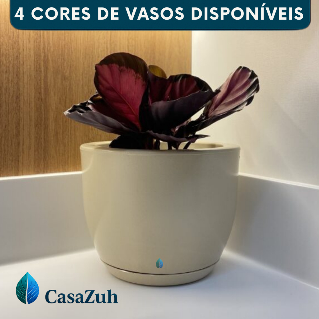 Vaso Decorativo Para Planta Flores Bojo Liso Polietileno Moderno