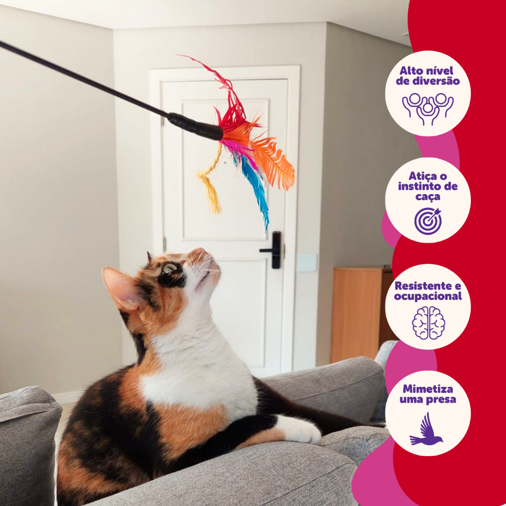 Varinha De 60cm Com Refil Da Pet Games Varinha Cat Brinquedo Super Resistente Para Gato