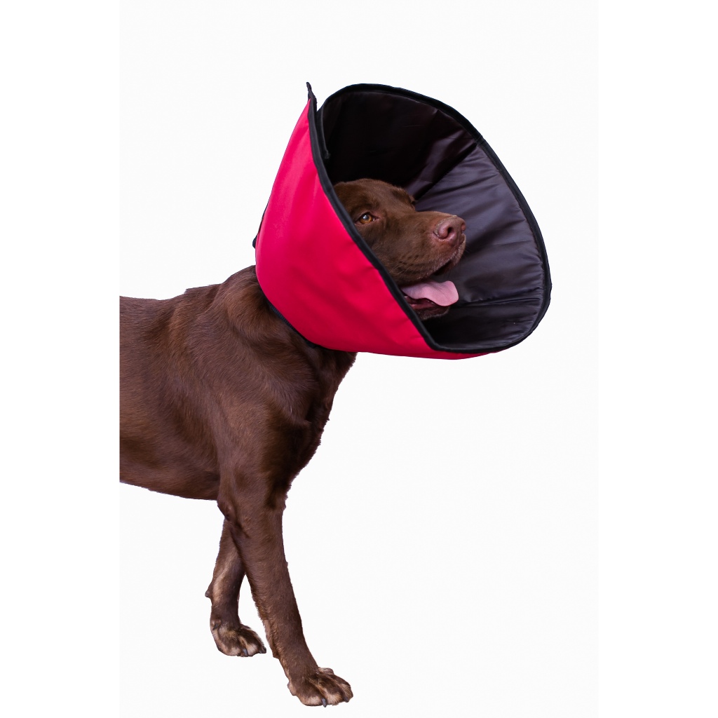 Colar Cirúrgico Cone Elizabetano Gatos E Cães -Tecido Impermeável e Confortável. Tam 1 ao 8