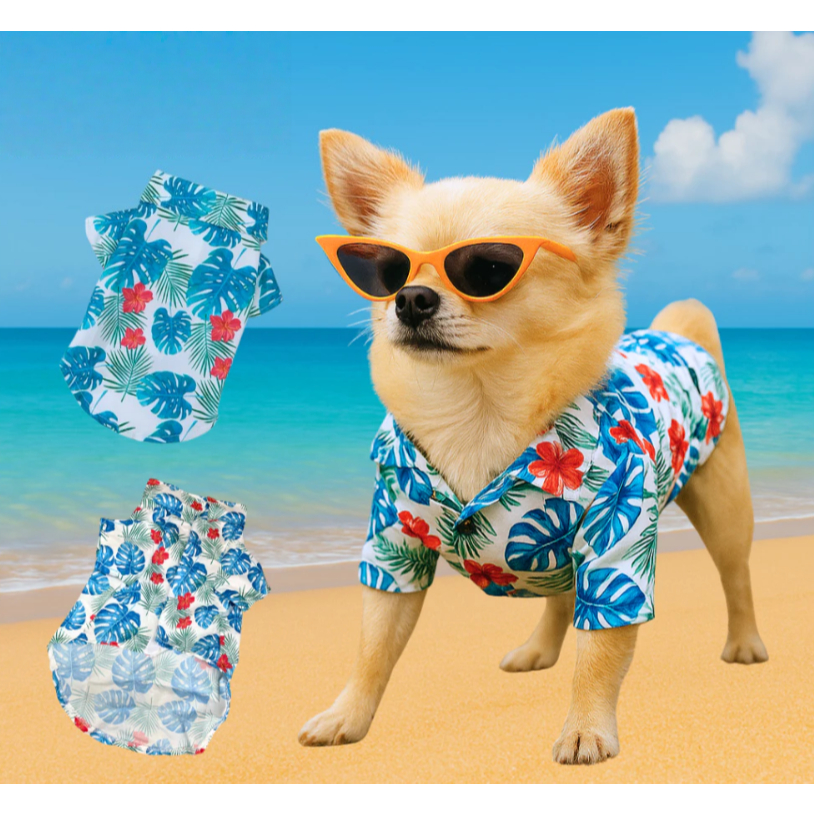 Camiseta Praia Para Cães E Gatos - Leve, Fresca E Estilosa (Vários Tamanhos) em Oferta na Shopee