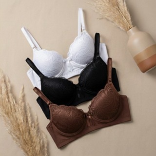 Kit c/3 Sutiã com Bojo Rendado Feminino Sustentação com Alças Ajustáveis em Oferta na Shopee