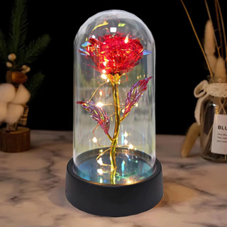 Natal Presente Rosa Encantada com Iluminação LED – Rosa Eterna em Terrário-Presente para o Dia das Mães / Dia dos Namor em Oferta na Shopee