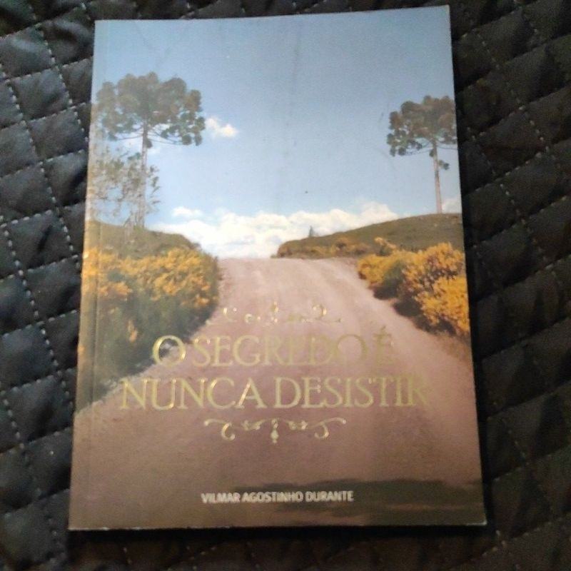 Livro usado O Segredo é nunca desistir por Vilmar Agostinho Durante
