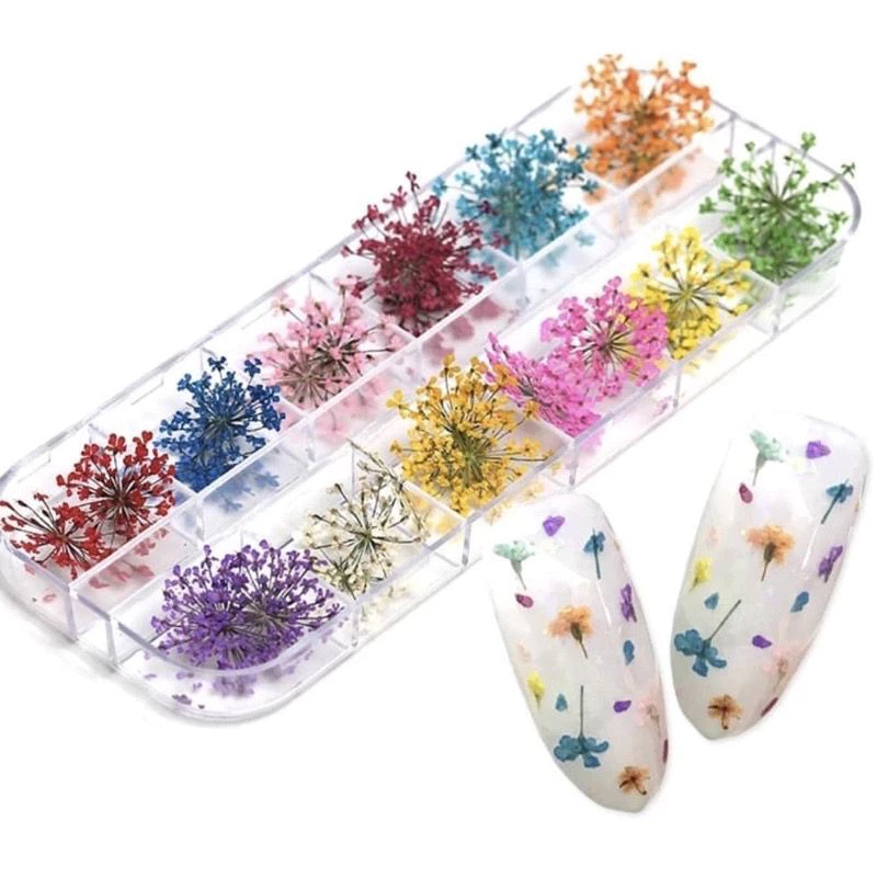 Flores Secas Encapsulamento Decoração Unhas De Gel