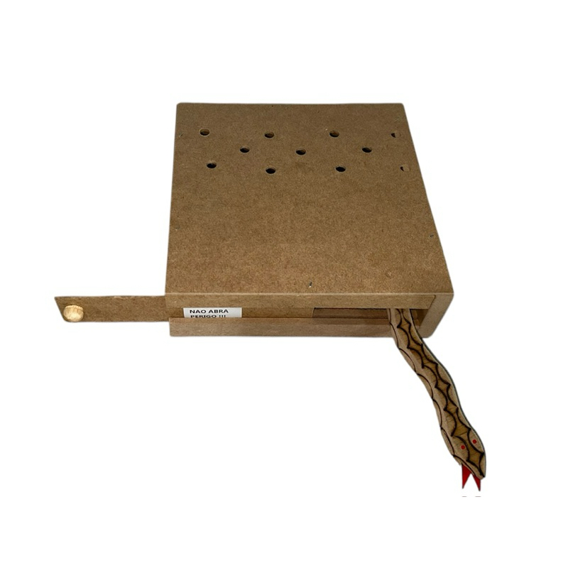 Caixa da cobrinha Butantã pegadinha brinquedos