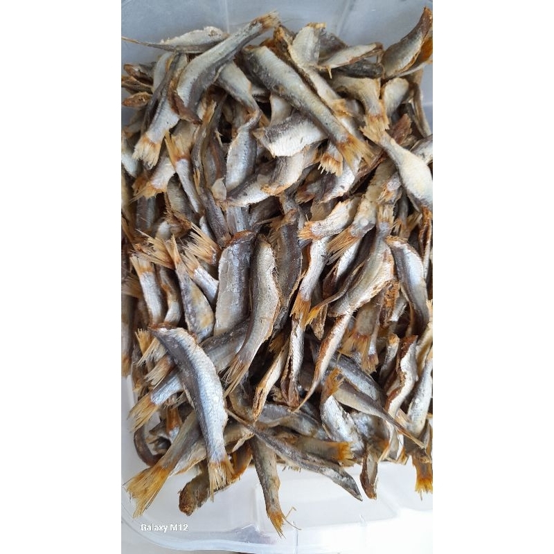 PEIXE SECO SALGADO - TIPO PITITINGA