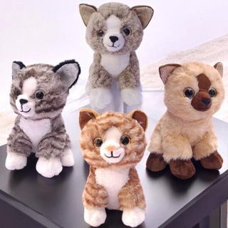 Gato De Pelúcia Gatinho 28 Cms Com Olho E Orelha Brilho em Oferta na Shopee