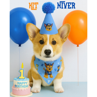 Kit Aniversário Acessórios  Chapéu E Bandana Personagens Temáticos Para Cães em Oferta na Shopee