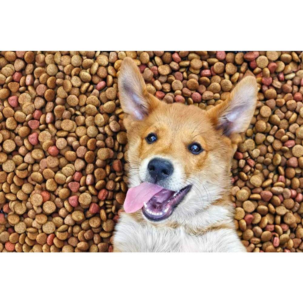 Ração Para Cachorro 15kg Super Premium, Premium Especial, Premium de Alta Qualidade Para Cão Adulto em Oferta na Shopee