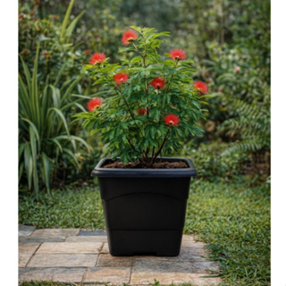 Kit 3 Vaso Quadrado 20 Litros Preto Reforçado Planta Flores em Oferta na Shopee