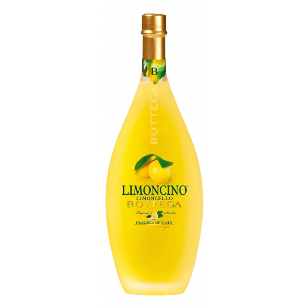 Bottega: Guia Completo e Onde Comprar | BuscaProdutos