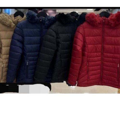 Jaqueta Feminina Nylon com Capuz - Comprar com Melhor Preço em Jaquetas, Casacos e Coletes