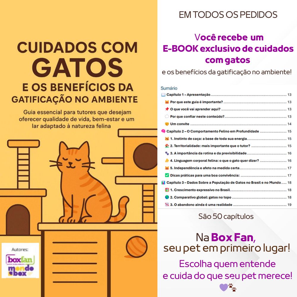 Casa Para Gatos Dois Andares Toca Em Mdf Caramelo Cama Beliche Brinquedo Arranhador Gato Diversão — foto 7