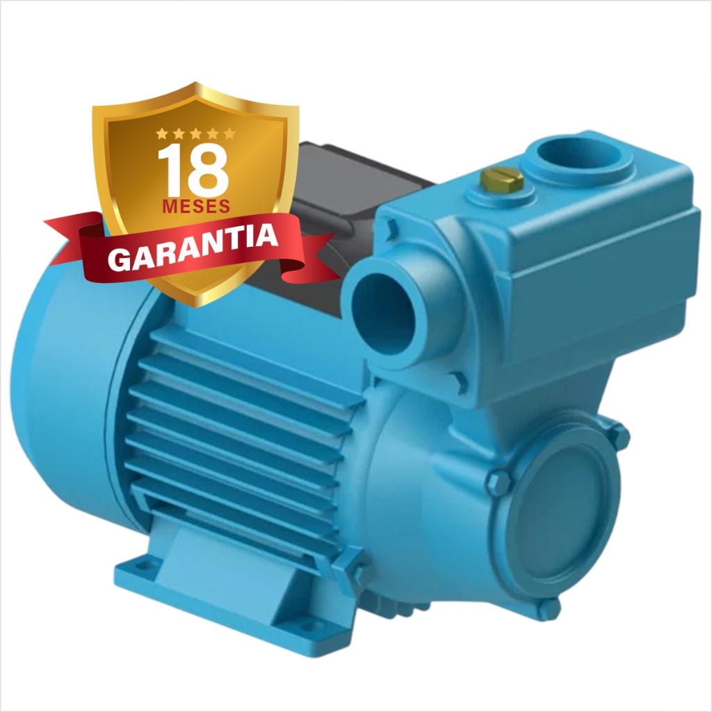 Bomba Auto Aspirante Elevação Monofásico Dancor Dpa-40  Bivolt 110v/220v 27 METROS