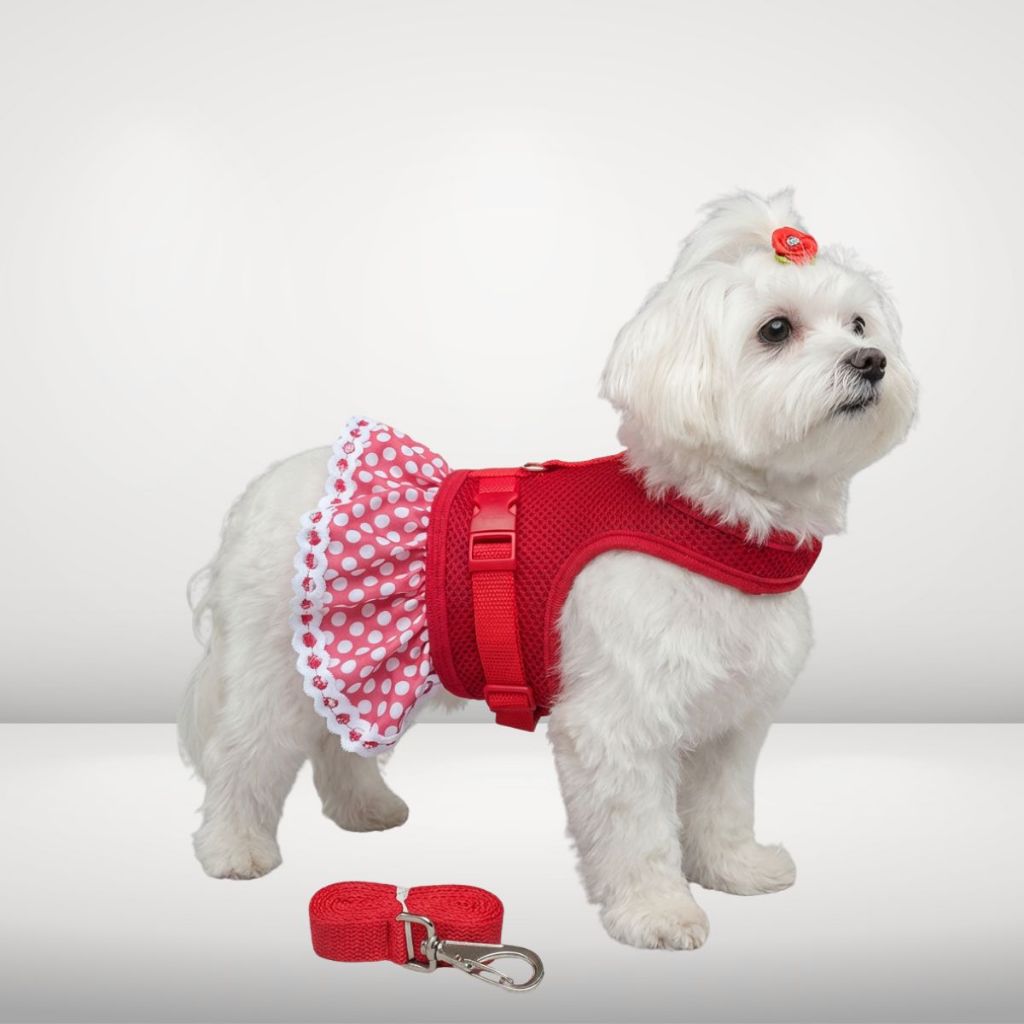 Guia Vermelha Cachorro: Onde Comprar | BuscaProdutos