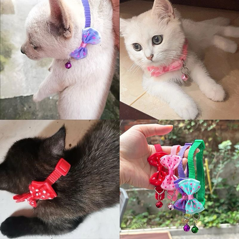 Kit 4 Coleiras de Pescoço para Pet Pequeno em Nylon Filhote Laço Gravata Yorkshire Gato Lhasa Shitzu Lulu em Oferta na Shopee