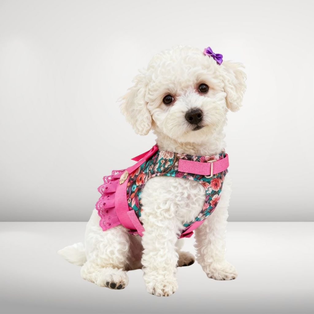 Peitoral Guia Cachorro Snob Dog Saia Floral Fêmea