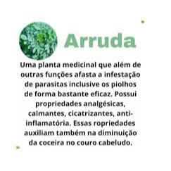 Kit Arruda Shampoo + Condicionador Maycrene 2x500 Mata PiolhoLêndeas Limpeza, Proteção + Pente Fino