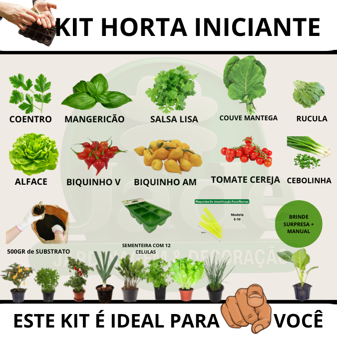 Kit Completo para Iniciantes: 10 Sementes + Sementeira + Substrato + Etiquetas + Manual + bônus ! em Oferta na Shopee