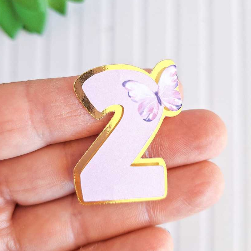 Apliques n 2 -  3D - tag lembrancinha personalizada - festa infantil -decoração - Borboleta - Jardim