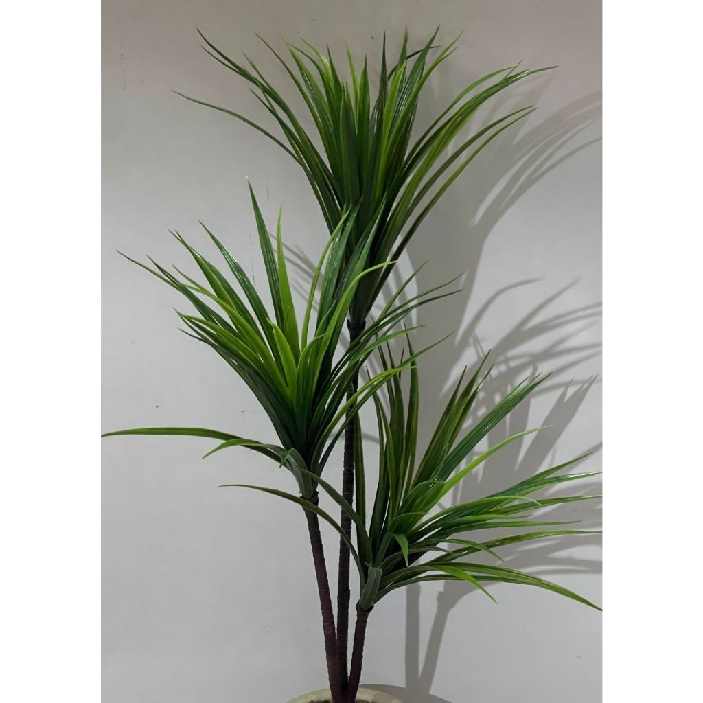 Yucca Artificial (Maior e Menor)