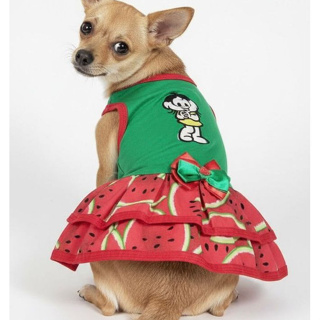 Vestido Pet Magali Roupinha de Cachorro Magali Vestido Magali Para Cachorro em Oferta na Shopee