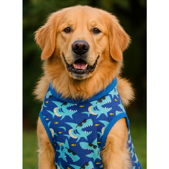 Super Roupinhas de Pet R$14,99 Roupa Pet Inverno Roupinha Fofa. Roupa Cachorro — R$ 21,59 em Shopee, 10% OFF