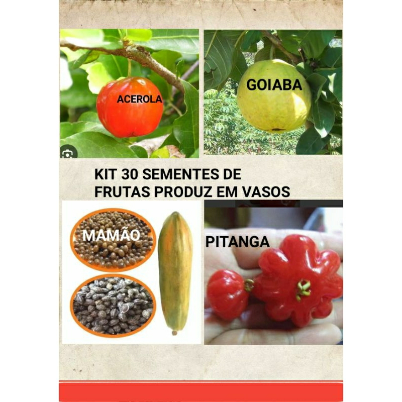 Kit 4 VARIEDADES frutas em vaso Sementes Selecionadas  plante  Horta terra decoração Oferta
