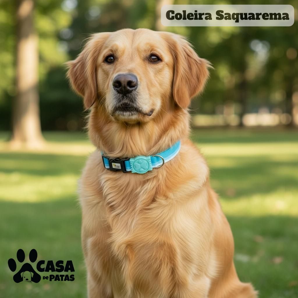 Coleira de pescoço pet - Cachorro