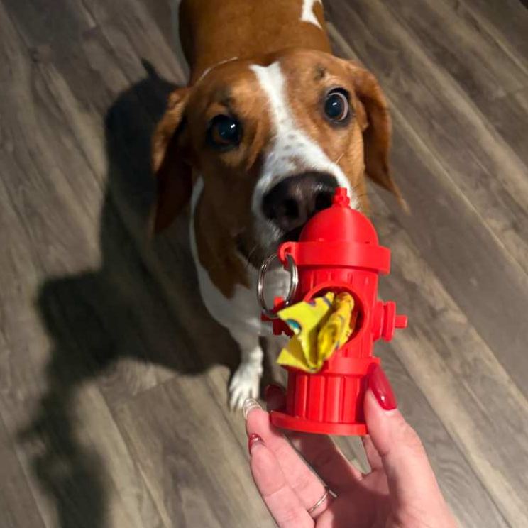 Dispensador de Saquinhos Cata-Caca Pet – Hidrante Portátil com Mosquetão para Passeios com Cachorros