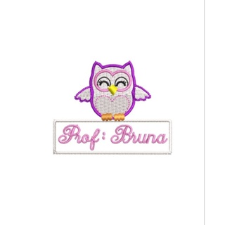 Pet Patch Professora Coruja Personalizado – Aplique Bordado com Nome em Oferta na Shopee