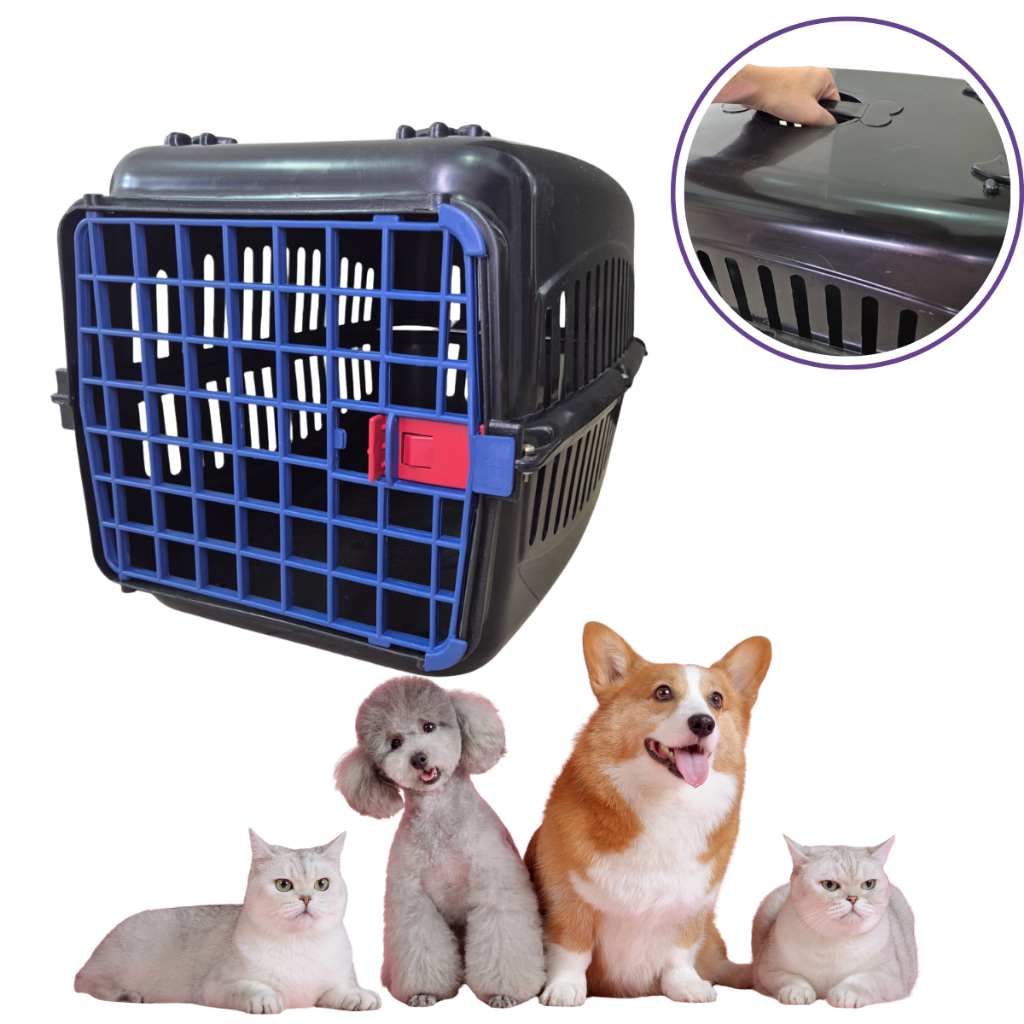 Caixa de Transporte Grande em Plástico para Gatos e Cachorros para Viagem e Transporte Veterinário