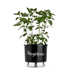 Vaso Autoirrigável 03 Médio N03cm 16 x 14cm - Gourmet Manjericão