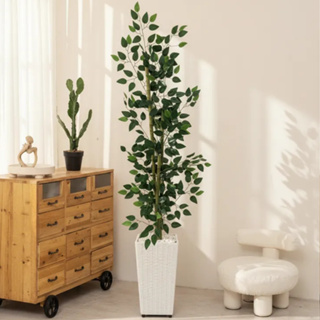 Planta Artificial Bambu da Sorte Vaso Quadrado Atacado em Oferta na Shopee