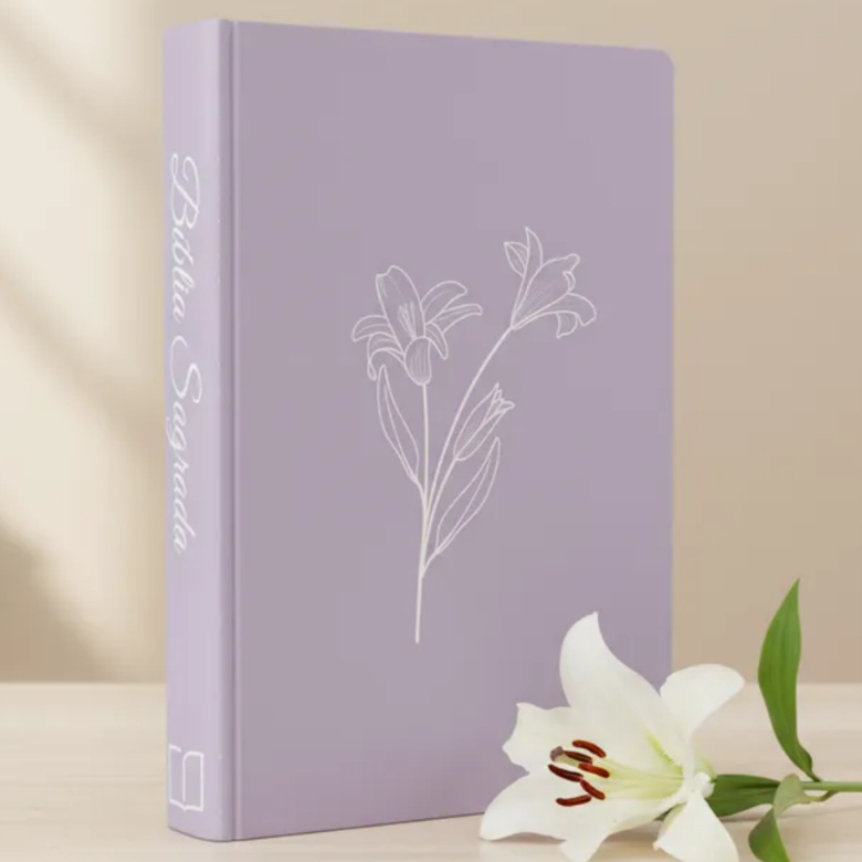 Bíblia Feminina Letra Grande: Onde Comprar | BuscaProdutos