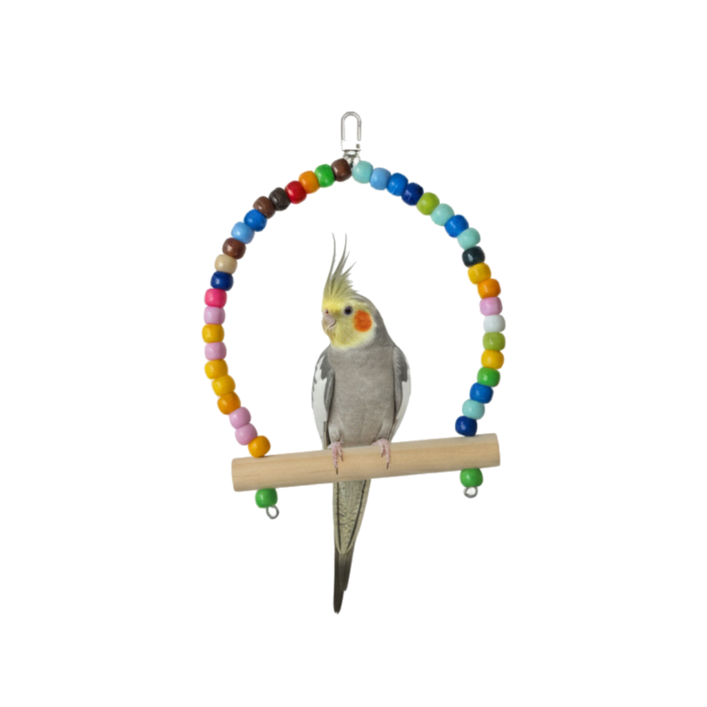 Acessórios Balanço miçanga Calopsita, agapornis, periquito e outras aves em Oferta na Shopee