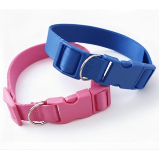 2 Coleiras Para Cachorro Porte Médio Ajustavel(Fita de 20mm)Resistente Ótima Qualidade. 2 Coleiras Cachorro Porte Médio em Oferta na Shopee