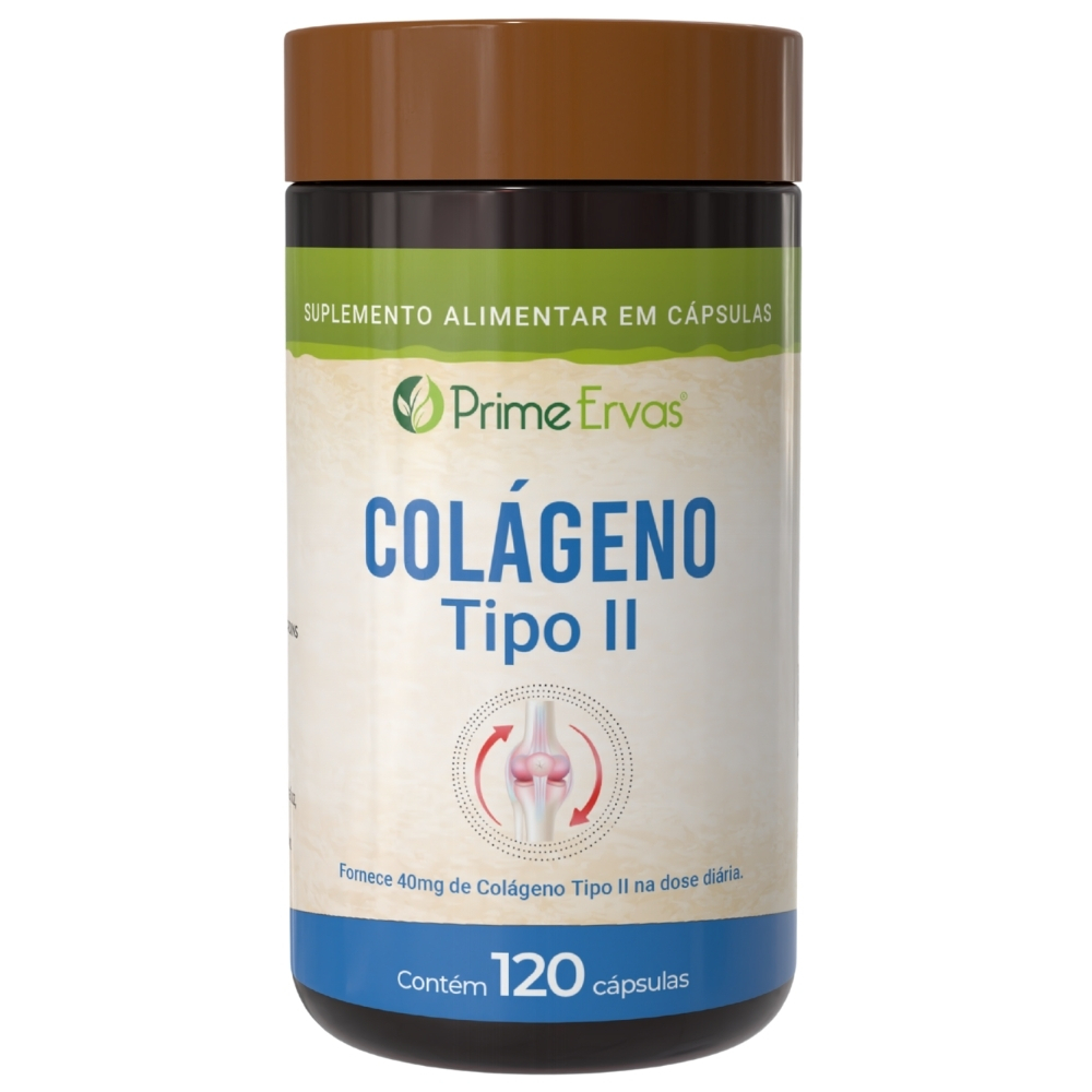 Colágeno Tipo 2 com 120 Cápsulas Prime Ervas em Oferta na Shopee