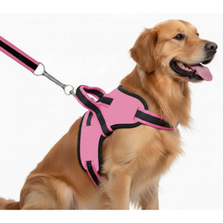 Coleira Peitoral Guia com Amortecedor Peiteira Para Cachorros Fortes em Oferta na Shopee