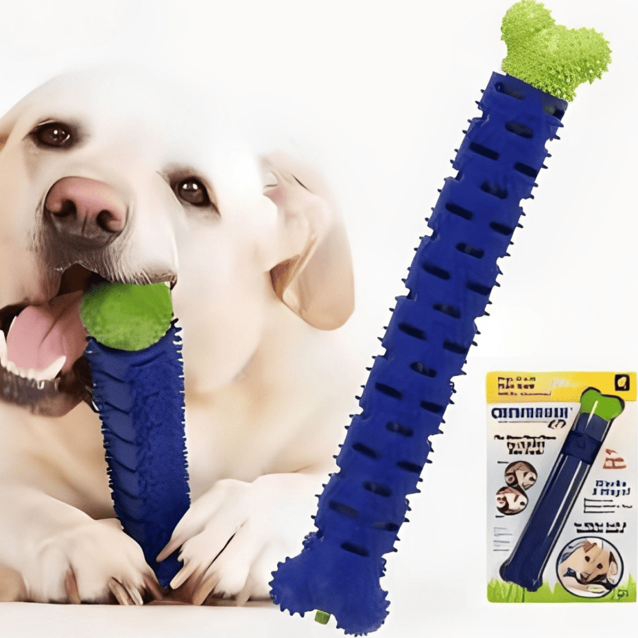 Mordedor Osso Removedor de Tártaro Pet 3 Em 1 Para Cães E Gatos Escova Dentes e Massageia Gengiva em Oferta na Shopee